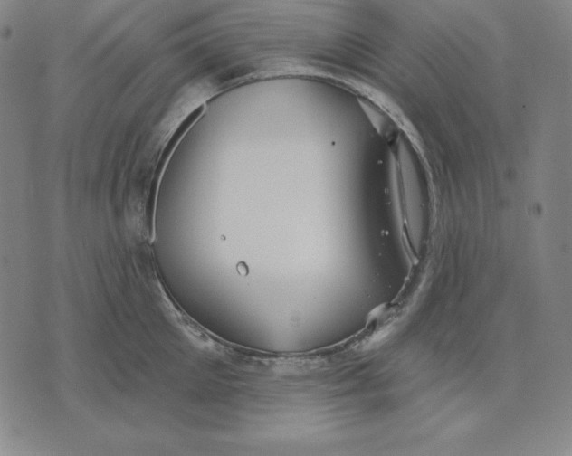 X0000071910905200607281825