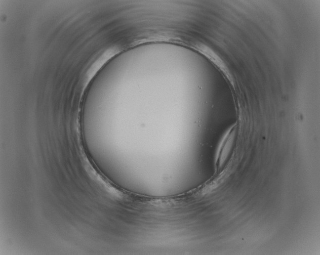 X0000071910906200607281825