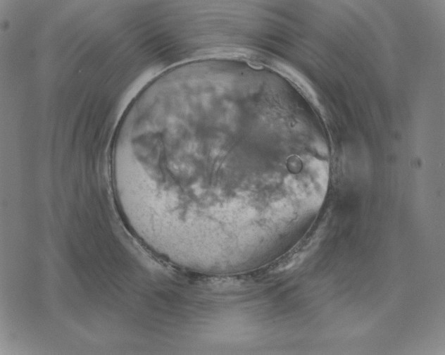 X0000071910907200607281825