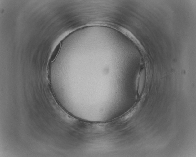 X0000071910908200607281825