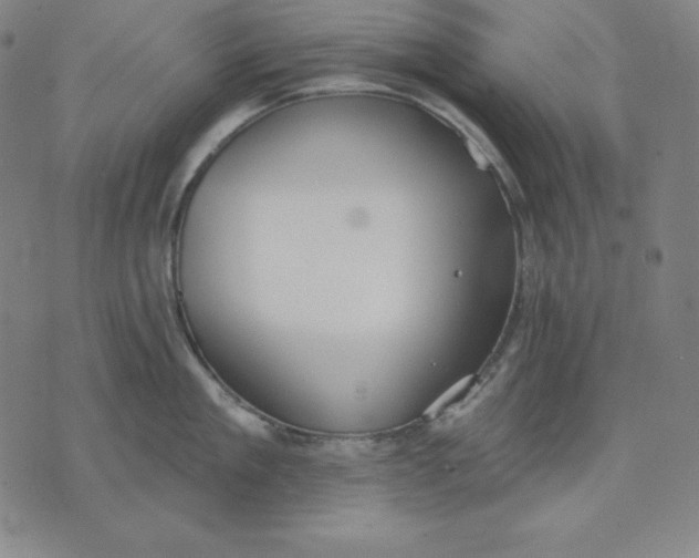 X0000071910909200607281825