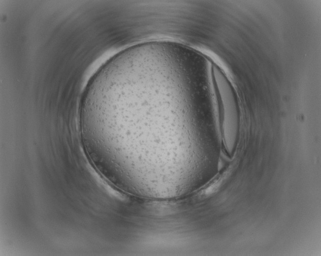 X0000071910910200607281825