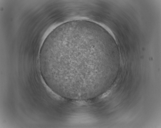 X0000071910911200607281825