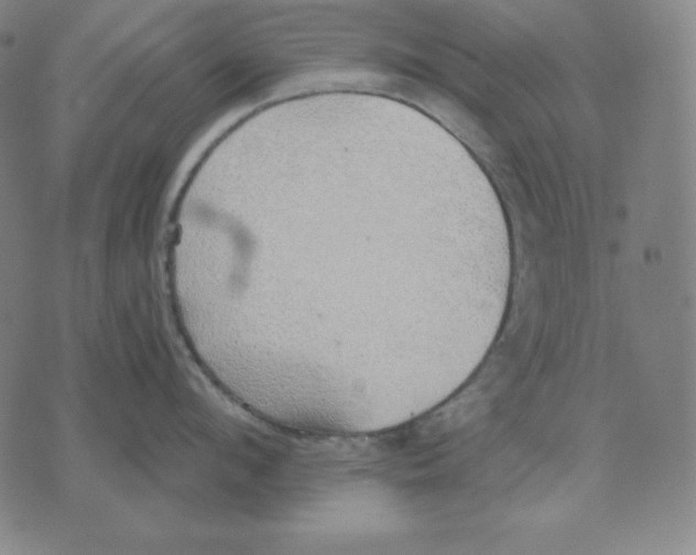 X0000071910912200607281825