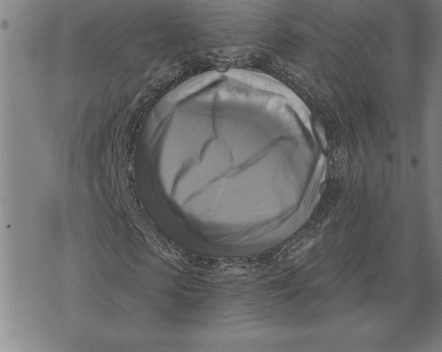 X0000071910913200607281824