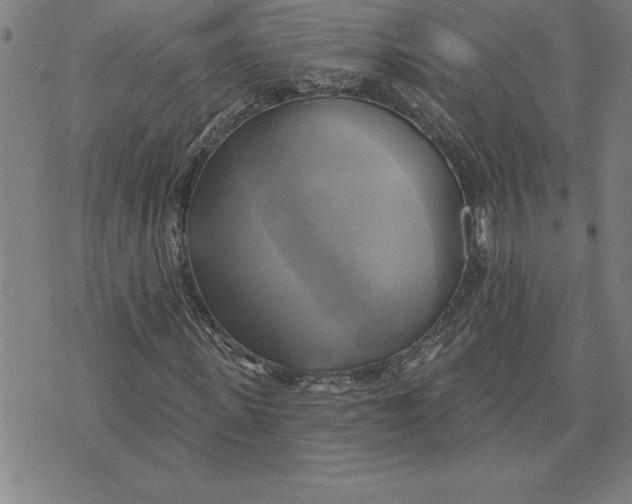 X0000071910915200607281824