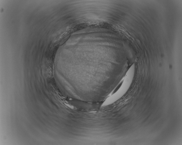 X0000071910916200607281824