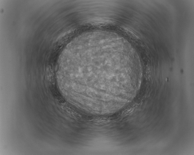 X0000071910917200607281824