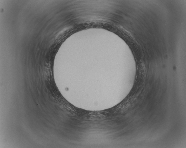 X0000071910918200607281824