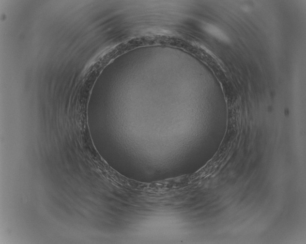 X0000071910919200607281824