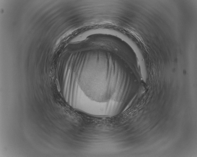 X0000071910920200607281824