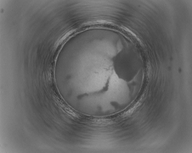 X0000071910921200607281824