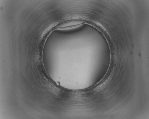 X0000071910922200607281824