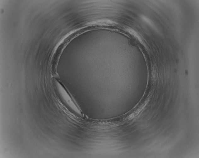 X0000071910923200607281824