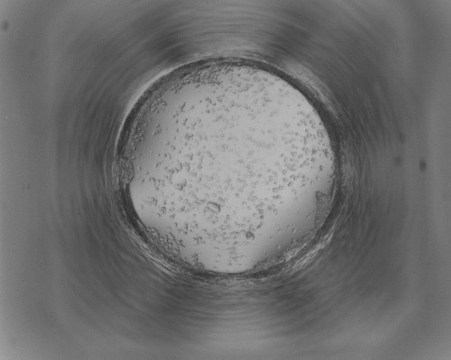 X0000071910924200607281824