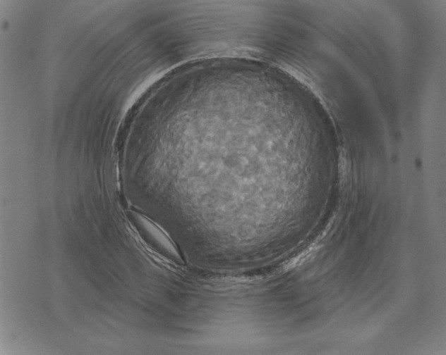 X0000071910925200607281824