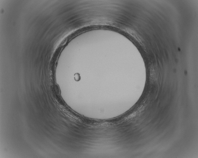 X0000071910926200607281824