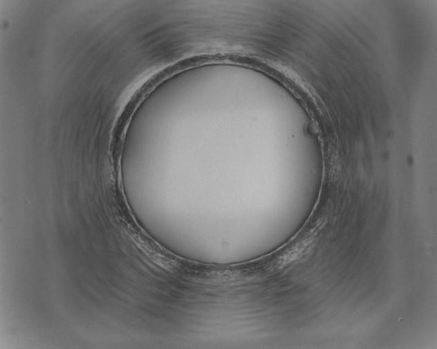 X0000071910927200607281825