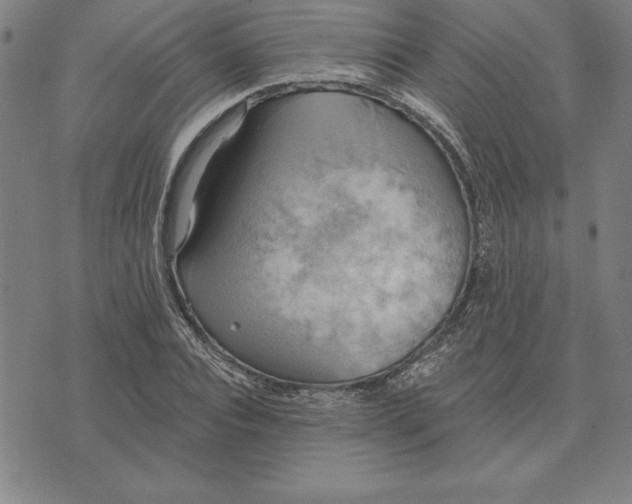 X0000071910928200607281825