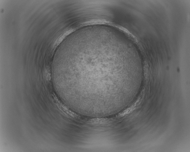 X0000071910929200607281825