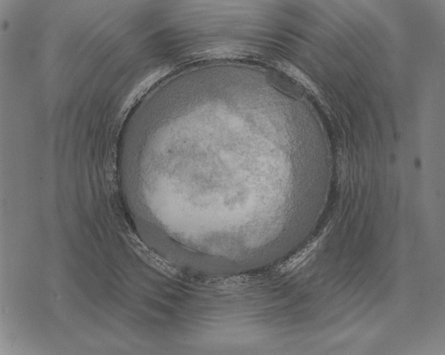 X0000071910930200607281825