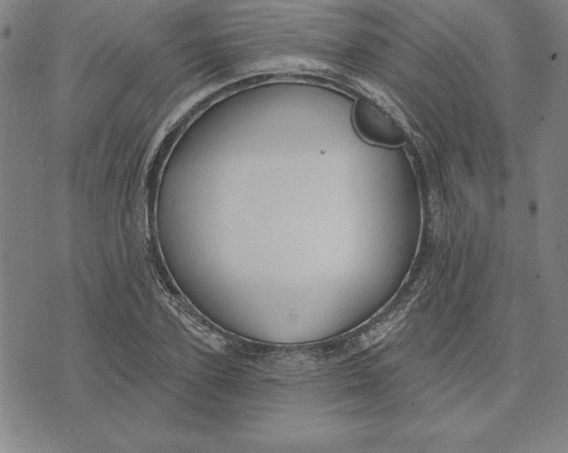 X0000071910931200607281825