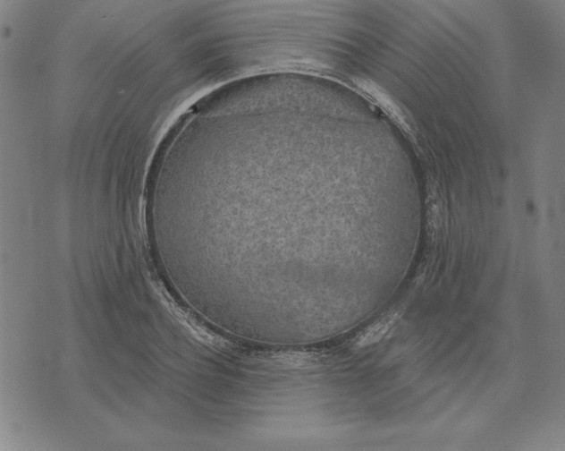 X0000071910932200607281825