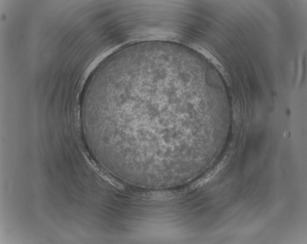 X0000071910933200607281825