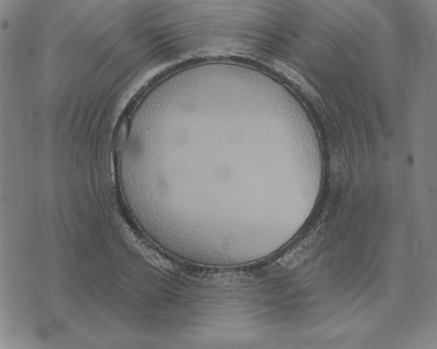 X0000071910934200607281825