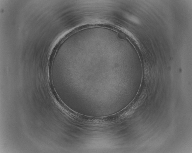 X0000071910935200607281825