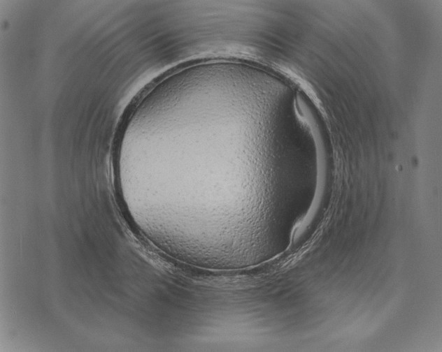 X0000071910936200607281825