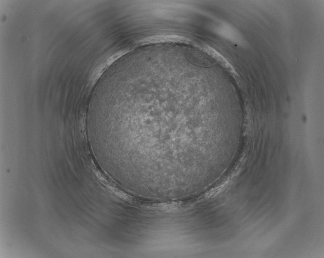 X0000071910937200607281825