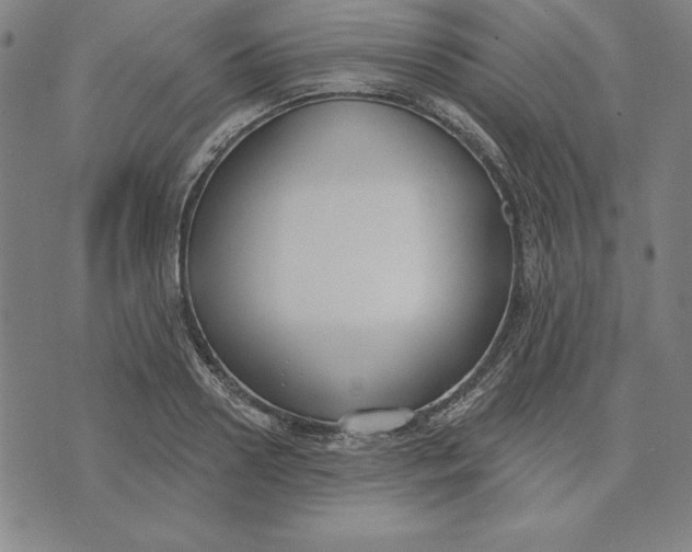 X0000071910938200607281825