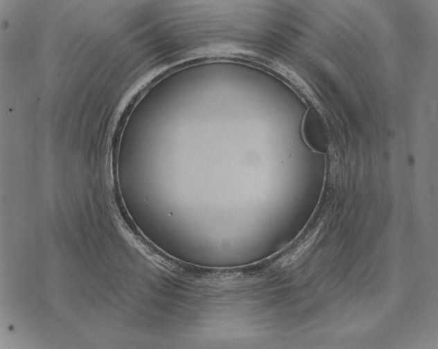 X0000071910939200607281825