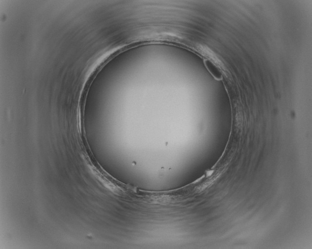 X0000071910940200607281825