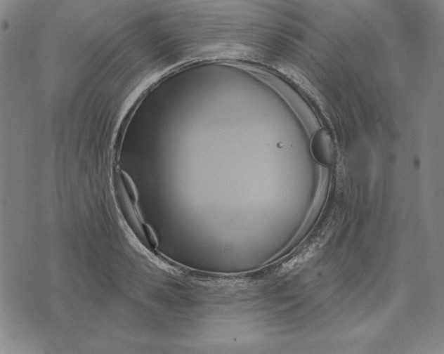 X0000071910941200607281825