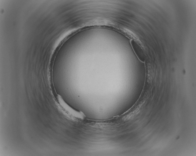 X0000071910942200607281825