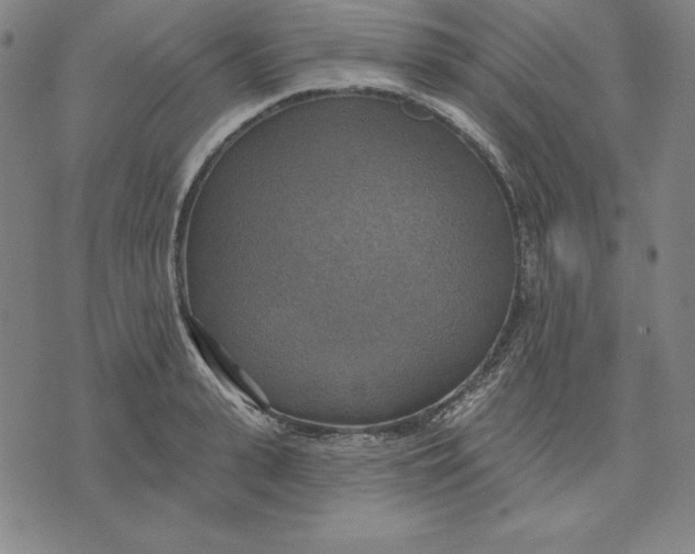 X0000071910943200607281825