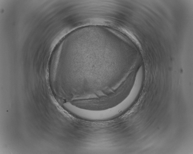 X0000071910944200607281825