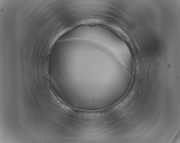 X0000071910945200607281825