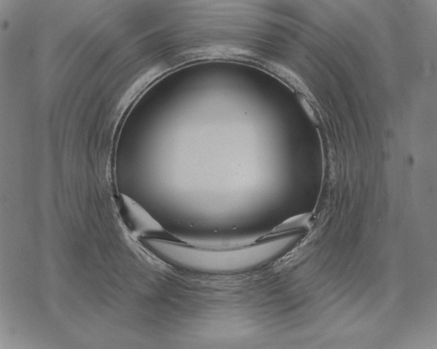 X0000071910946200607281825