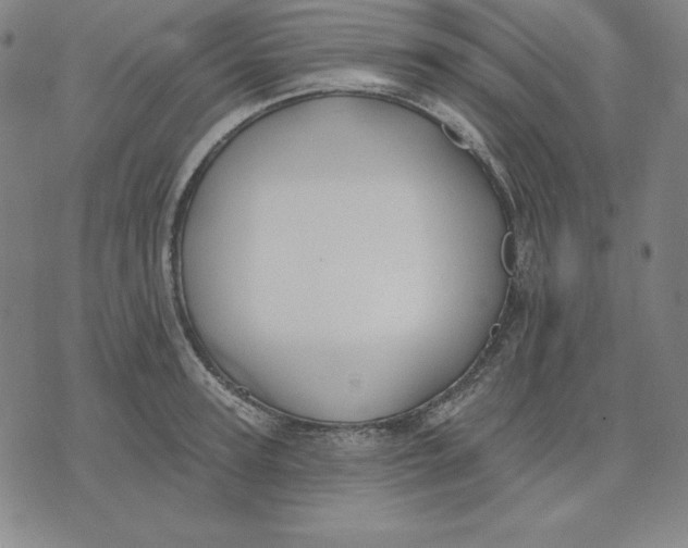 X0000071910947200607281825