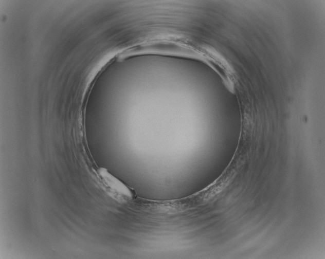 X0000071910948200607281825