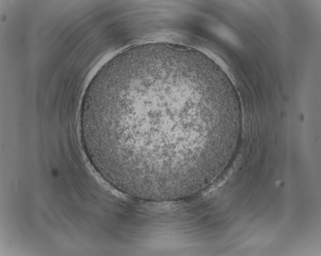 X0000071910949200607281825