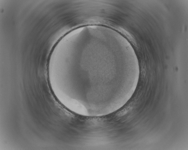 X0000071910950200607281825