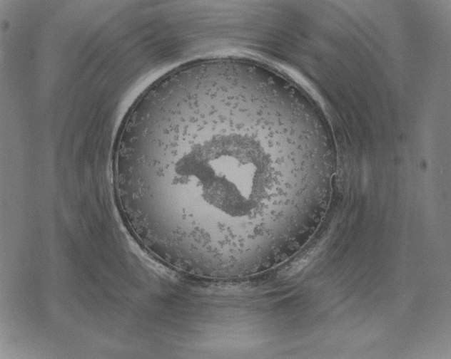 X0000071910951200607281825