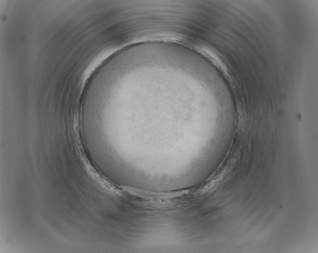 X0000071910952200607281825