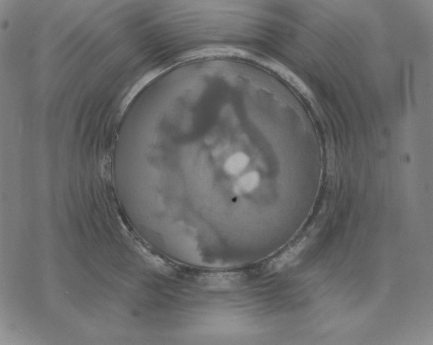 X0000071910953200607281825