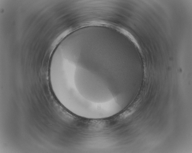 X0000071910954200607281825