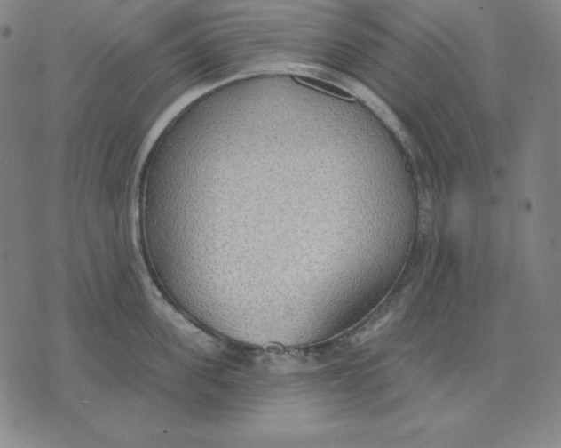 X0000071910955200607281825